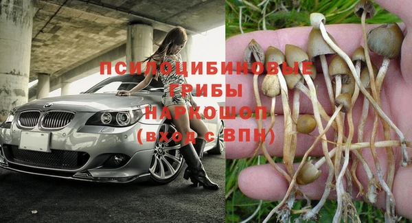 круглые Бородино