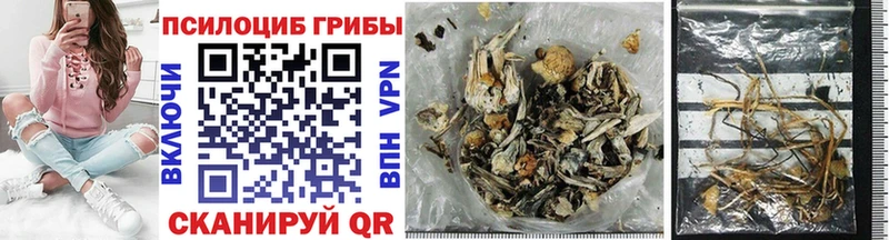 Галлюциногенные грибы прущие грибы  blacksprut вход  Наволоки 