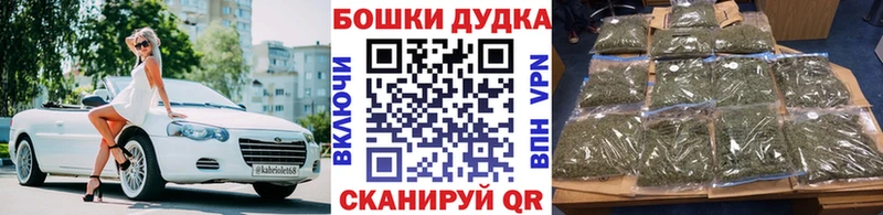 Конопля сатива  Наволоки 